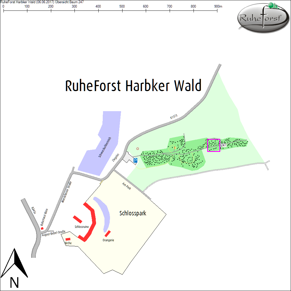 &Uuml;bersichtskarte zu Baum 247