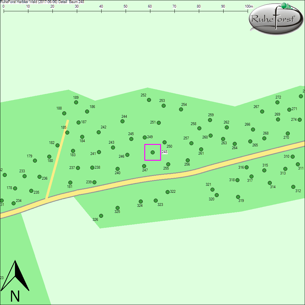 Detailkarte zu Baum 248