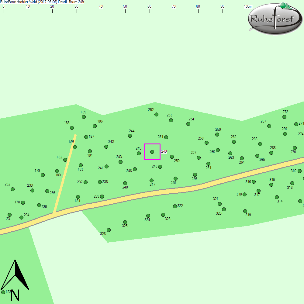 Detailkarte zu Baum 249