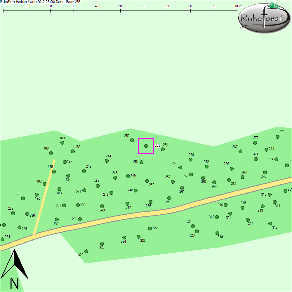 Detailkarte zu Baum 253