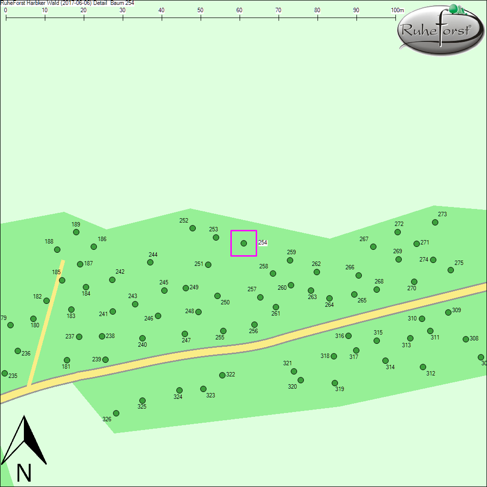 Detailkarte zu Baum 254