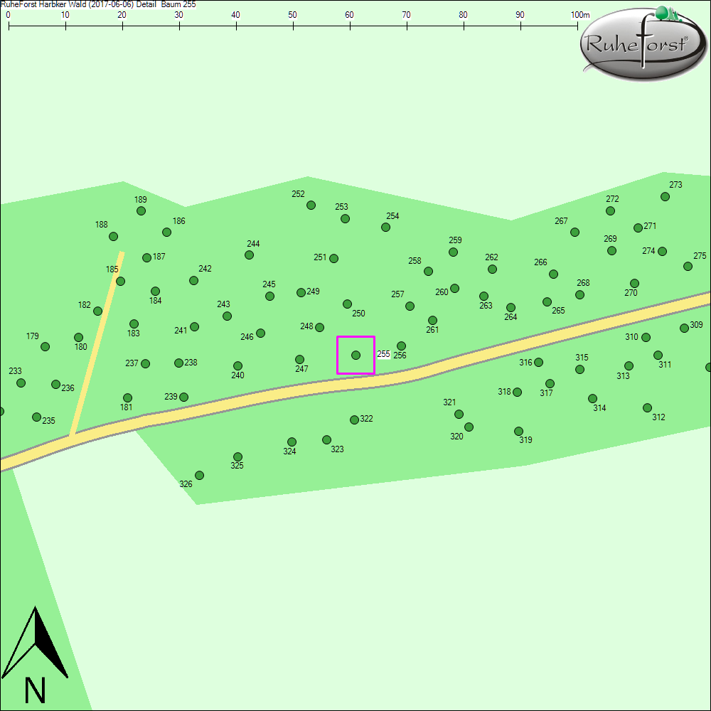 Detailkarte zu Baum 255