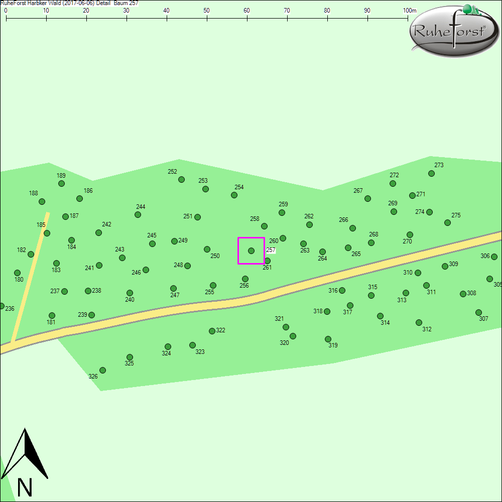 Detailkarte zu Baum 257