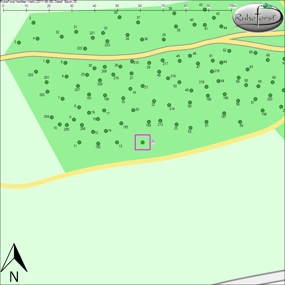 Detailkarte zu Baum 25