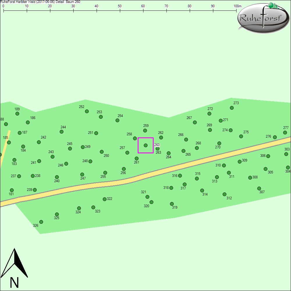 Detailkarte zu Baum 260