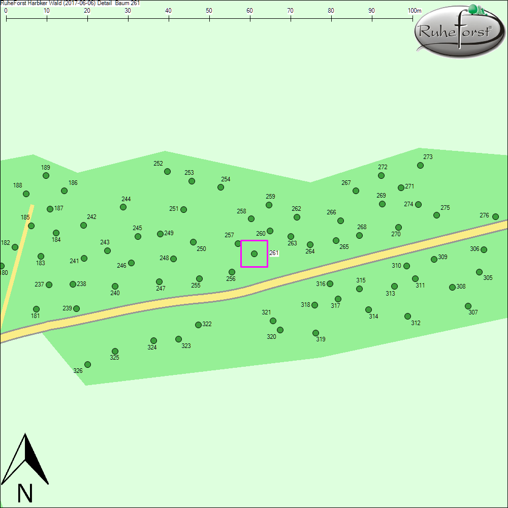 Detailkarte zu Baum 261
