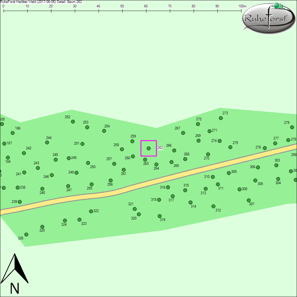 Detailkarte zu Baum 262