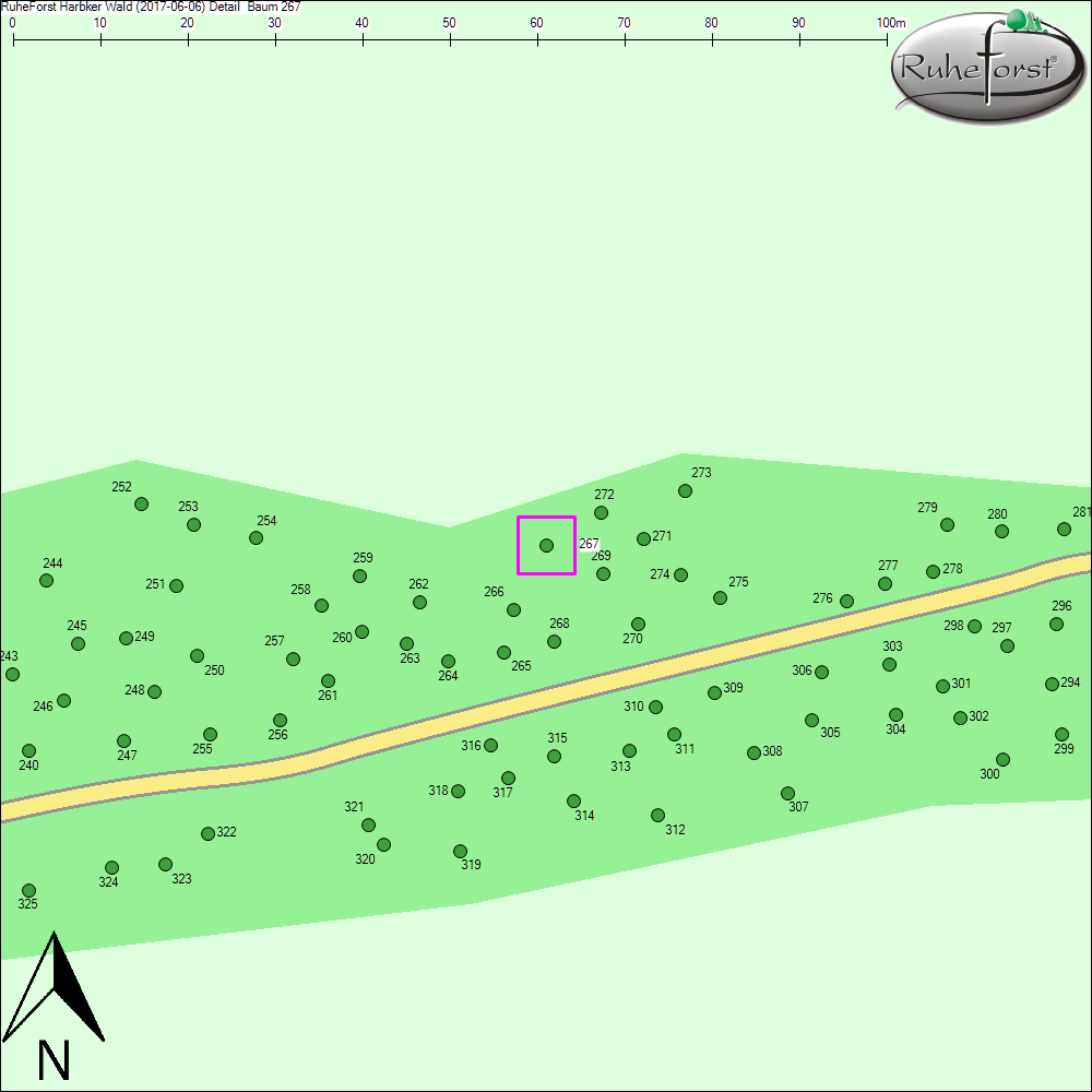 Detailkarte zu Baum 267