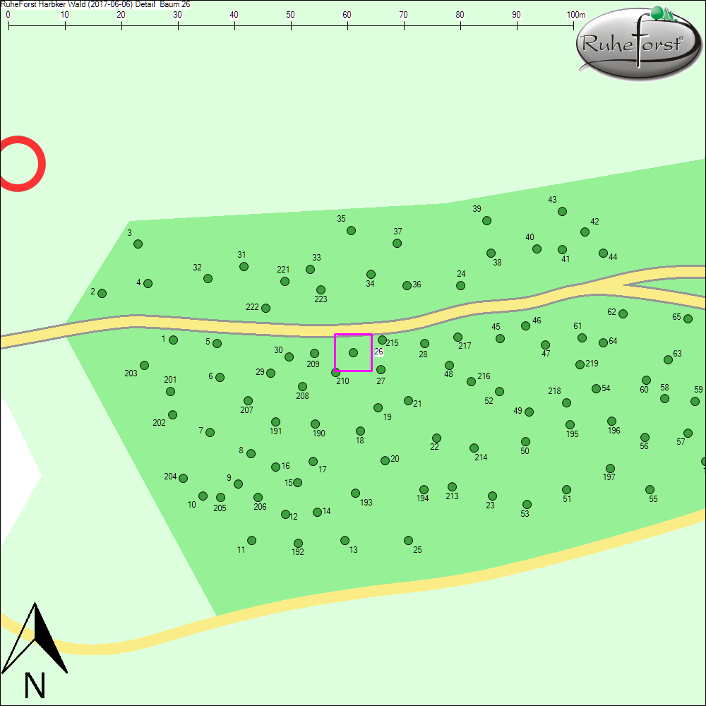 Detailkarte zu Baum 26