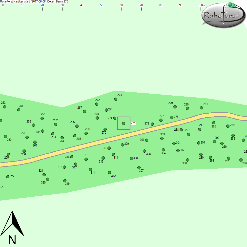 Detailkarte zu Baum 275