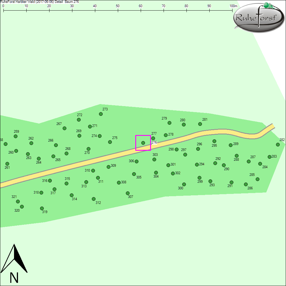 Detailkarte zu Baum 276