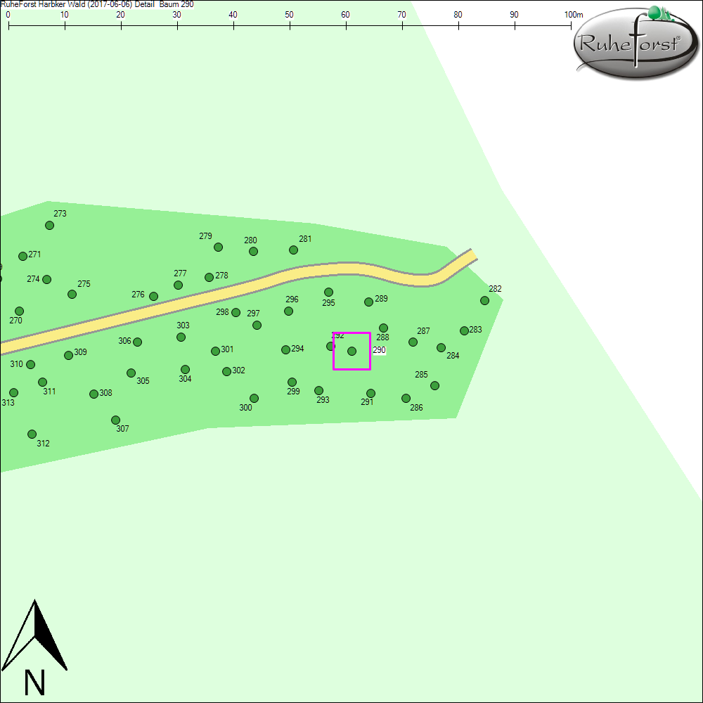 Detailkarte zu Baum 290