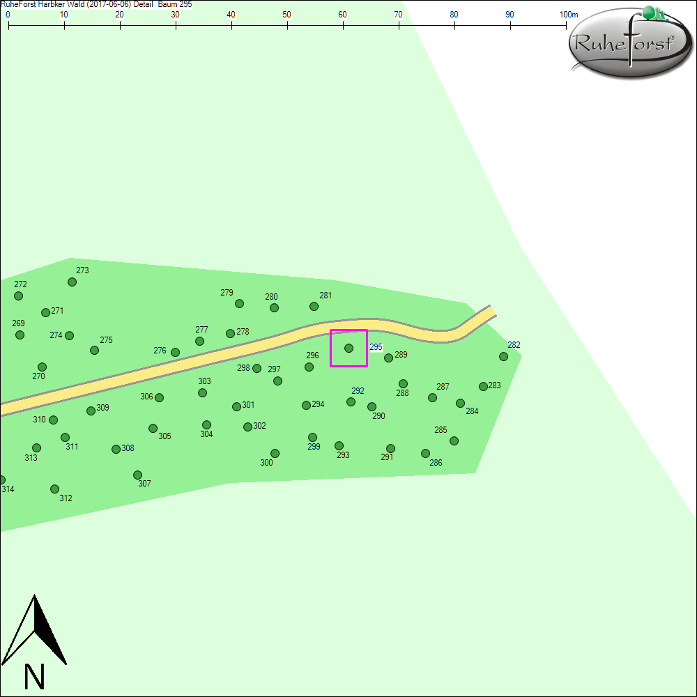 Detailkarte zu Baum 295