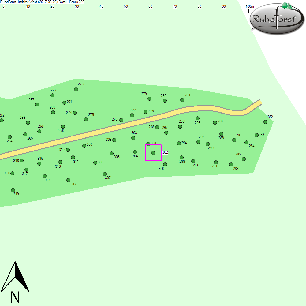 Detailkarte zu Baum 302