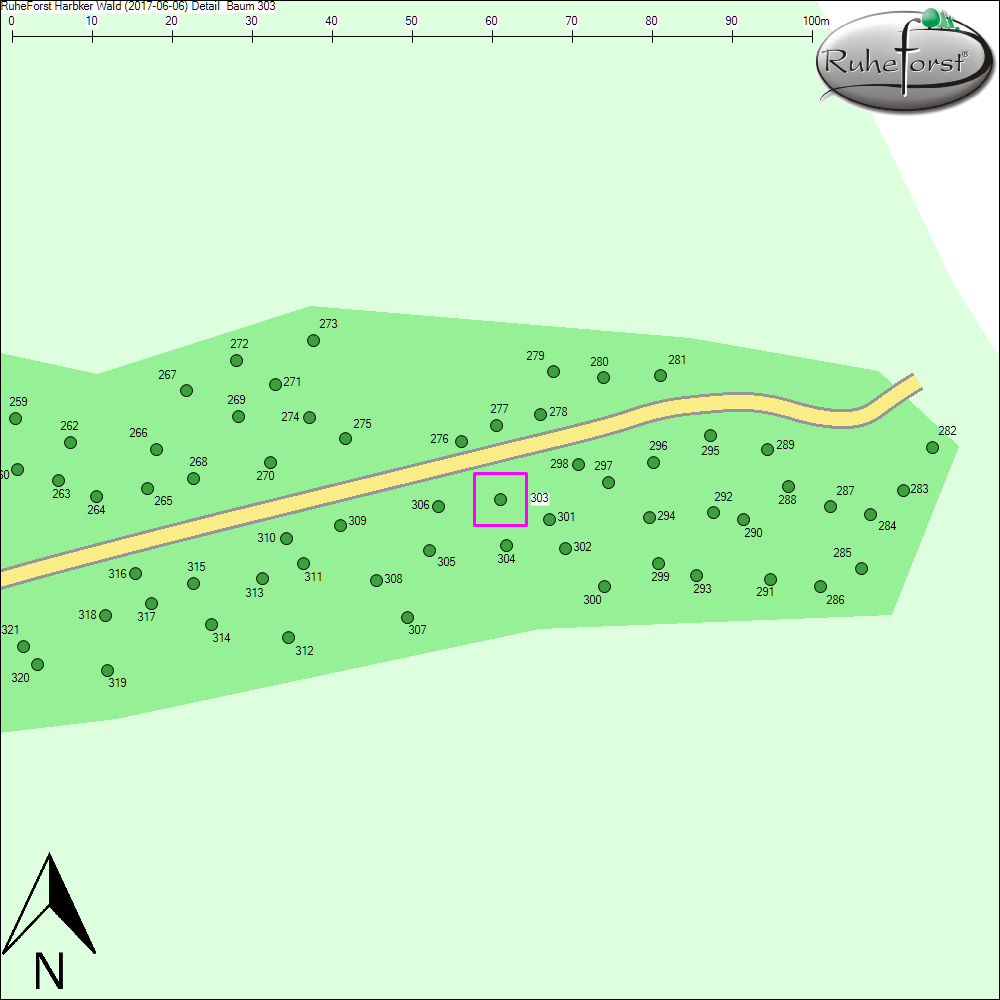 Detailkarte zu Baum 303