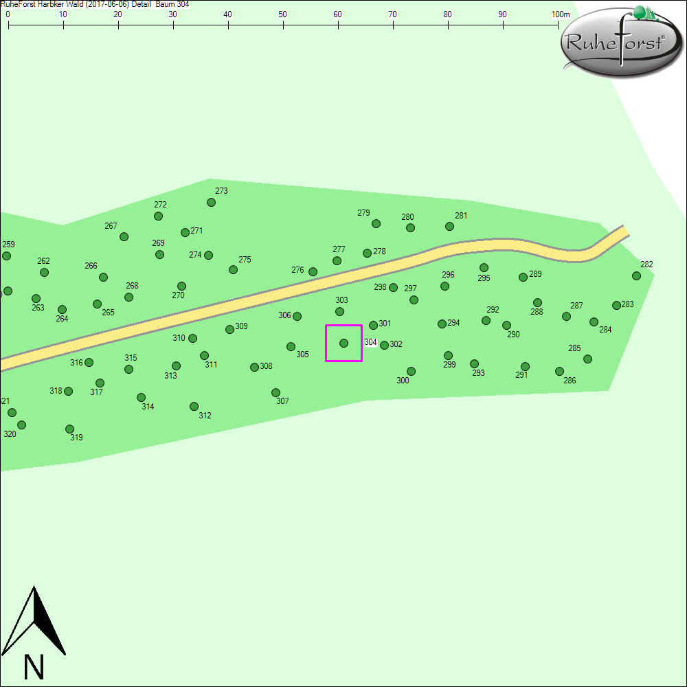 Detailkarte zu Baum 304