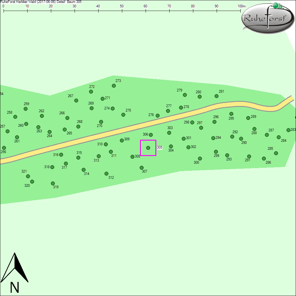 Detailkarte zu Baum 305