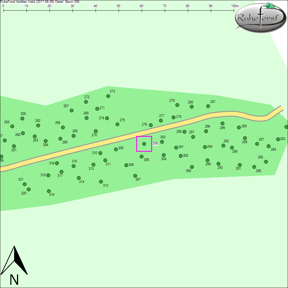 Detailkarte zu Baum 306