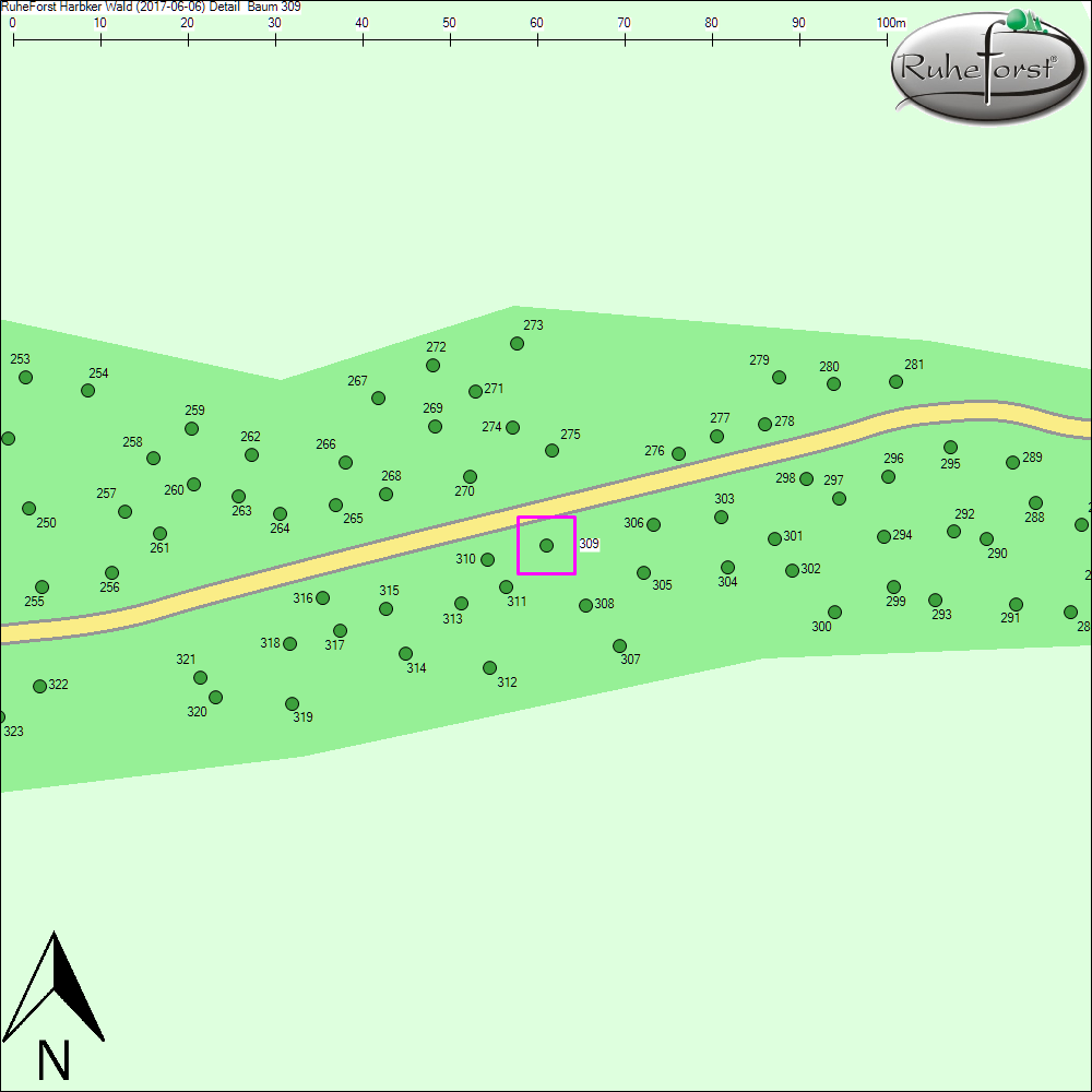 Detailkarte zu Baum 309