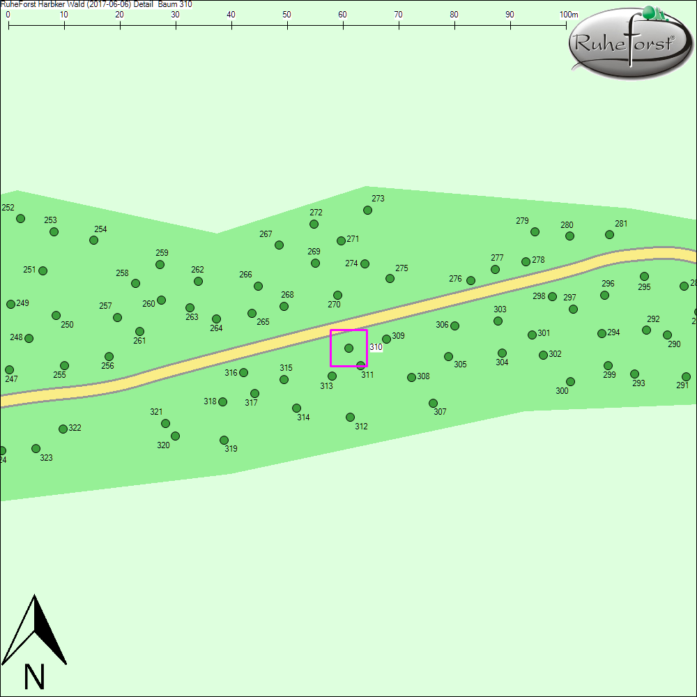 Detailkarte zu Baum 310