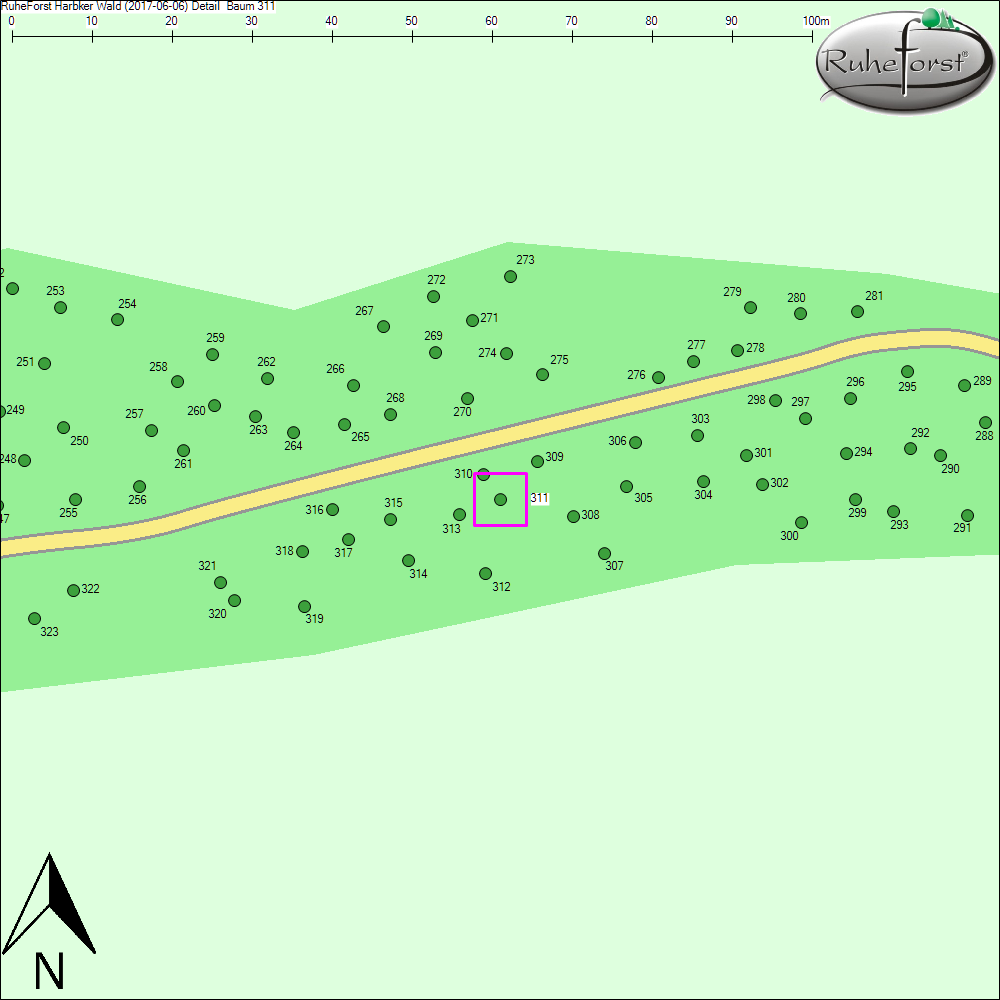 Detailkarte zu Baum 311