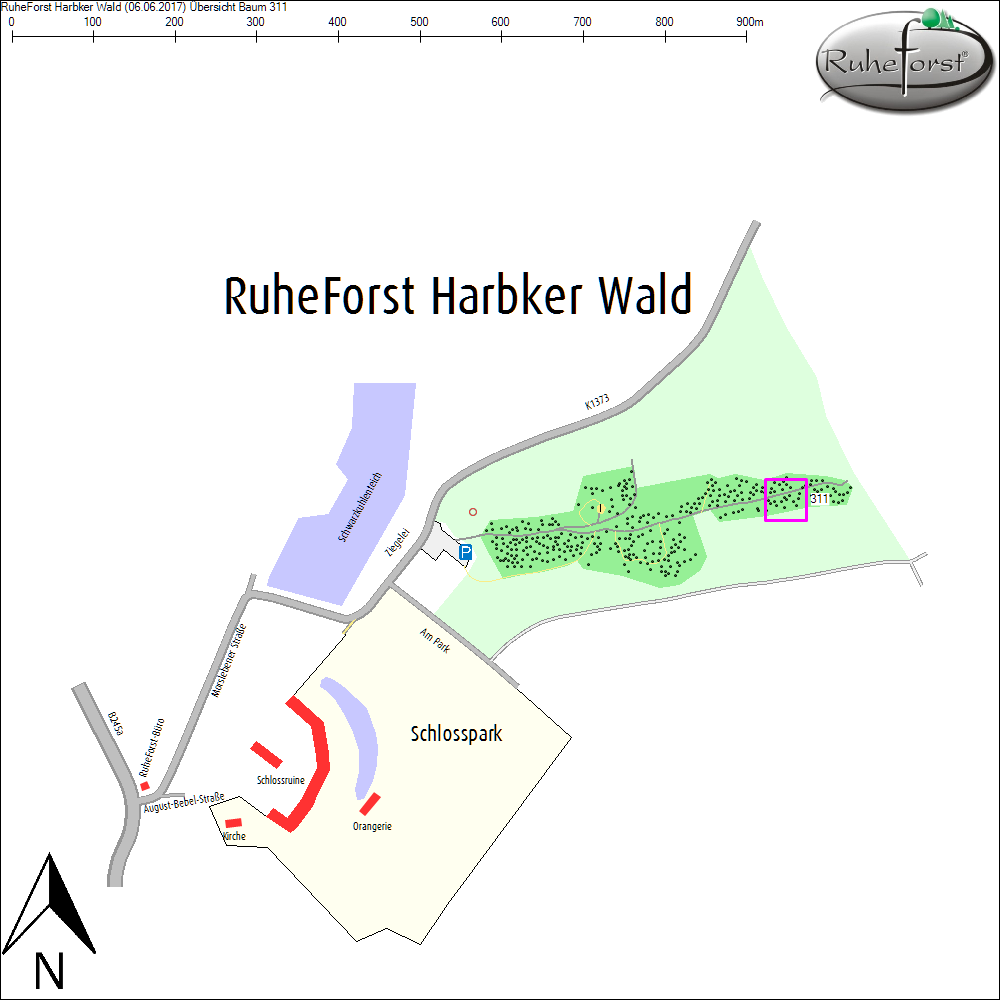 &Uuml;bersichtskarte zu Baum 311