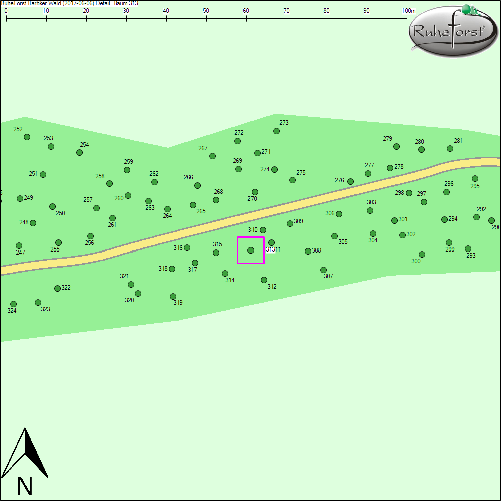 Detailkarte zu Baum 313