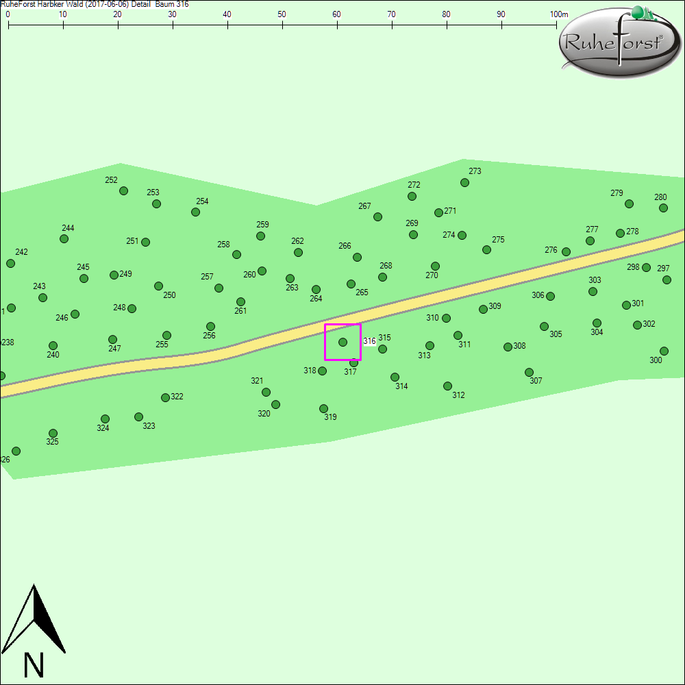 Detailkarte zu Baum 316
