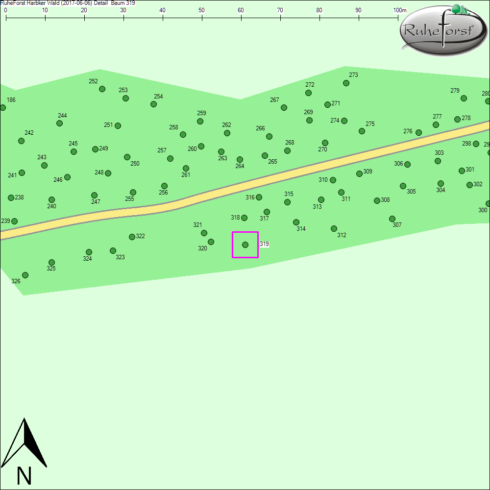Detailkarte zu Baum 319