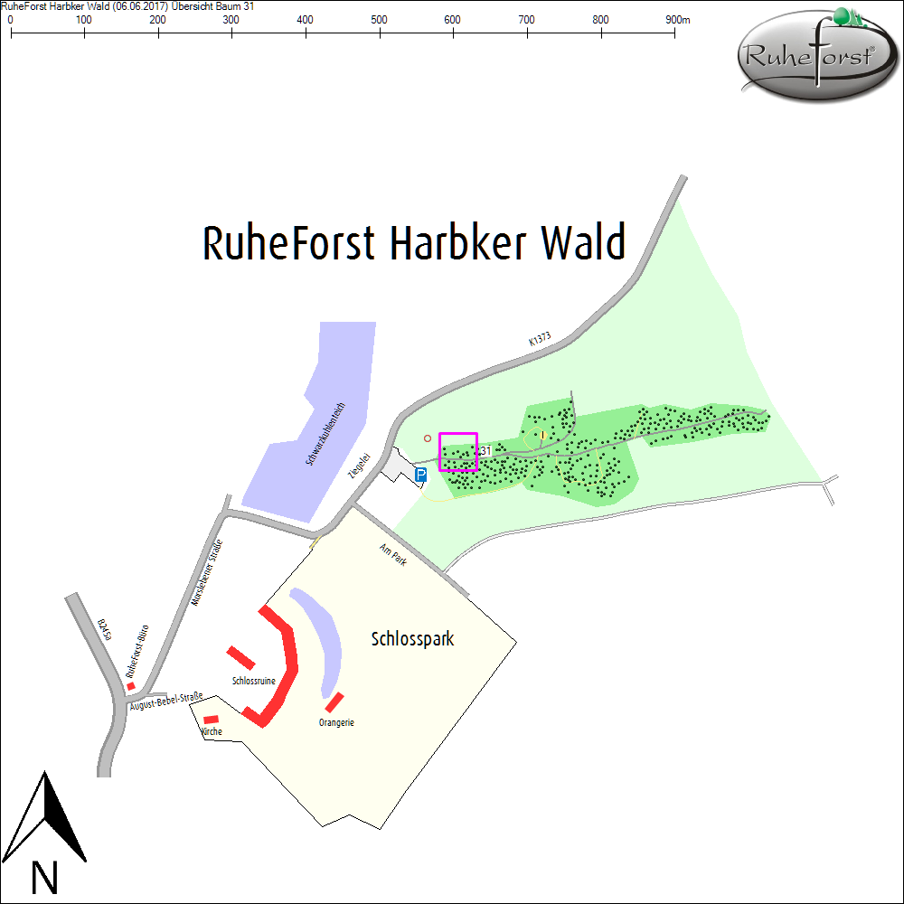 &Uuml;bersichtskarte zu Baum 31