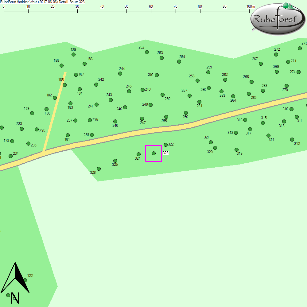 Detailkarte zu Baum 323