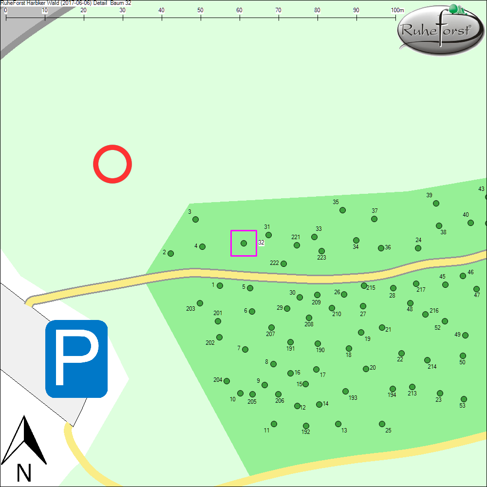 Detailkarte zu Baum 32
