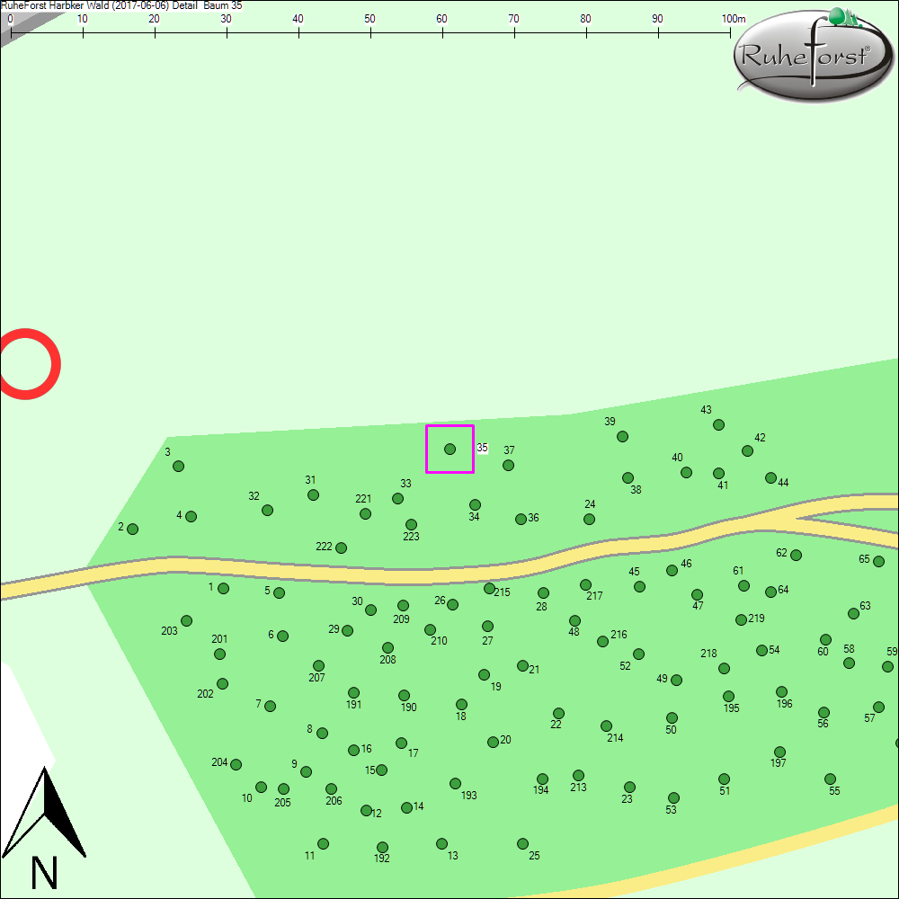 Detailkarte zu Baum 35