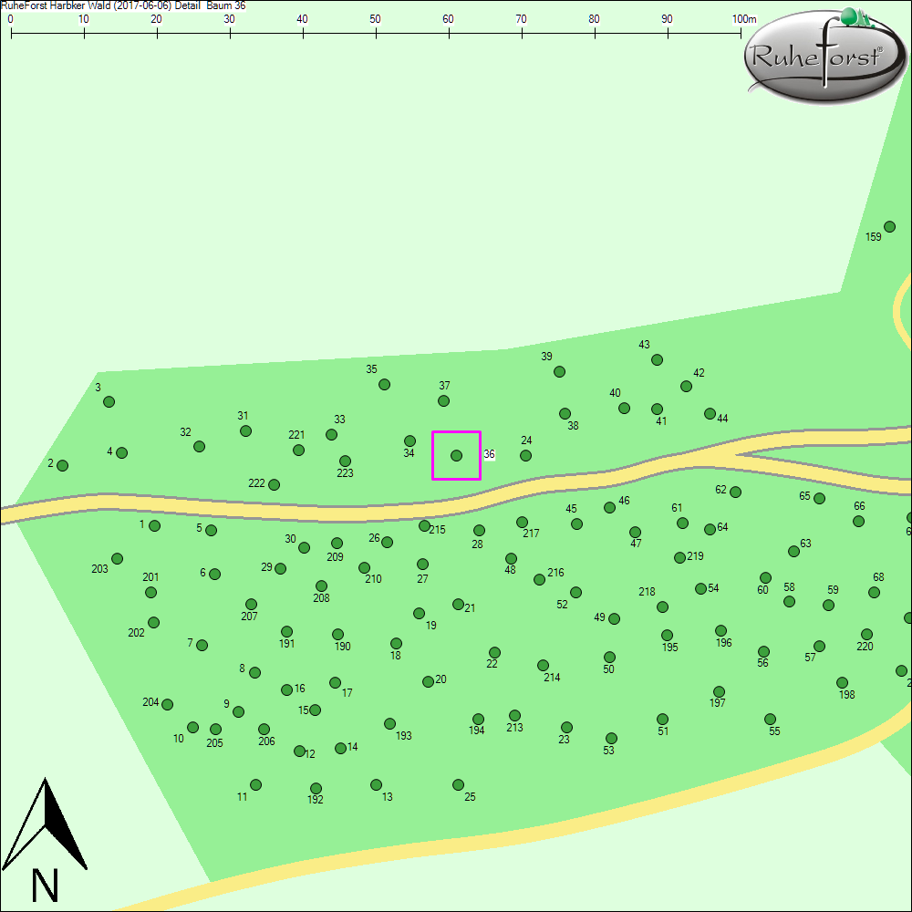 Detailkarte zu Baum 36