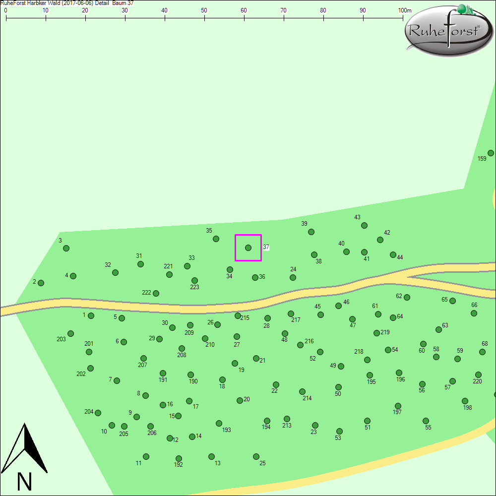 Detailkarte zu Baum 37
