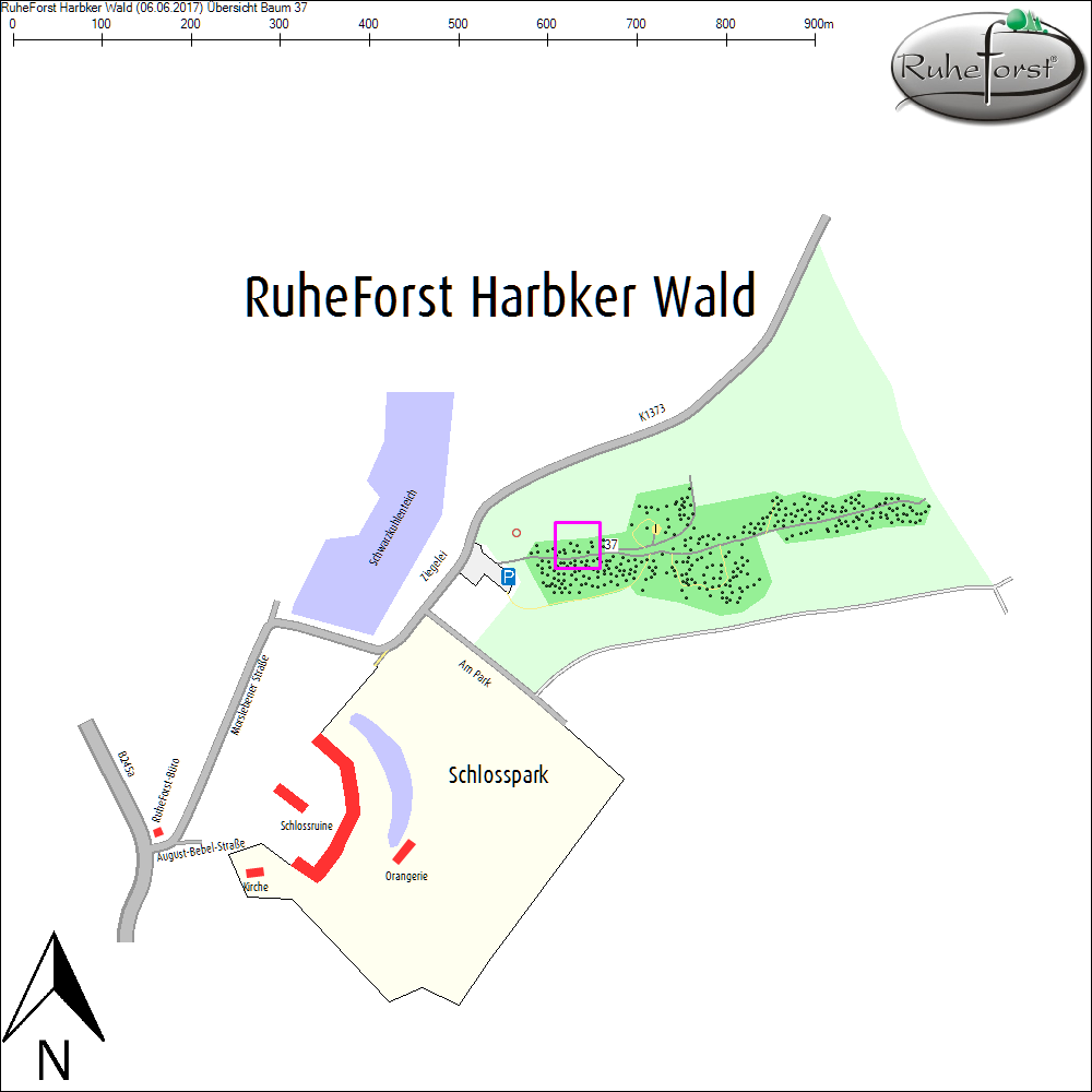 &Uuml;bersichtskarte zu Baum 37