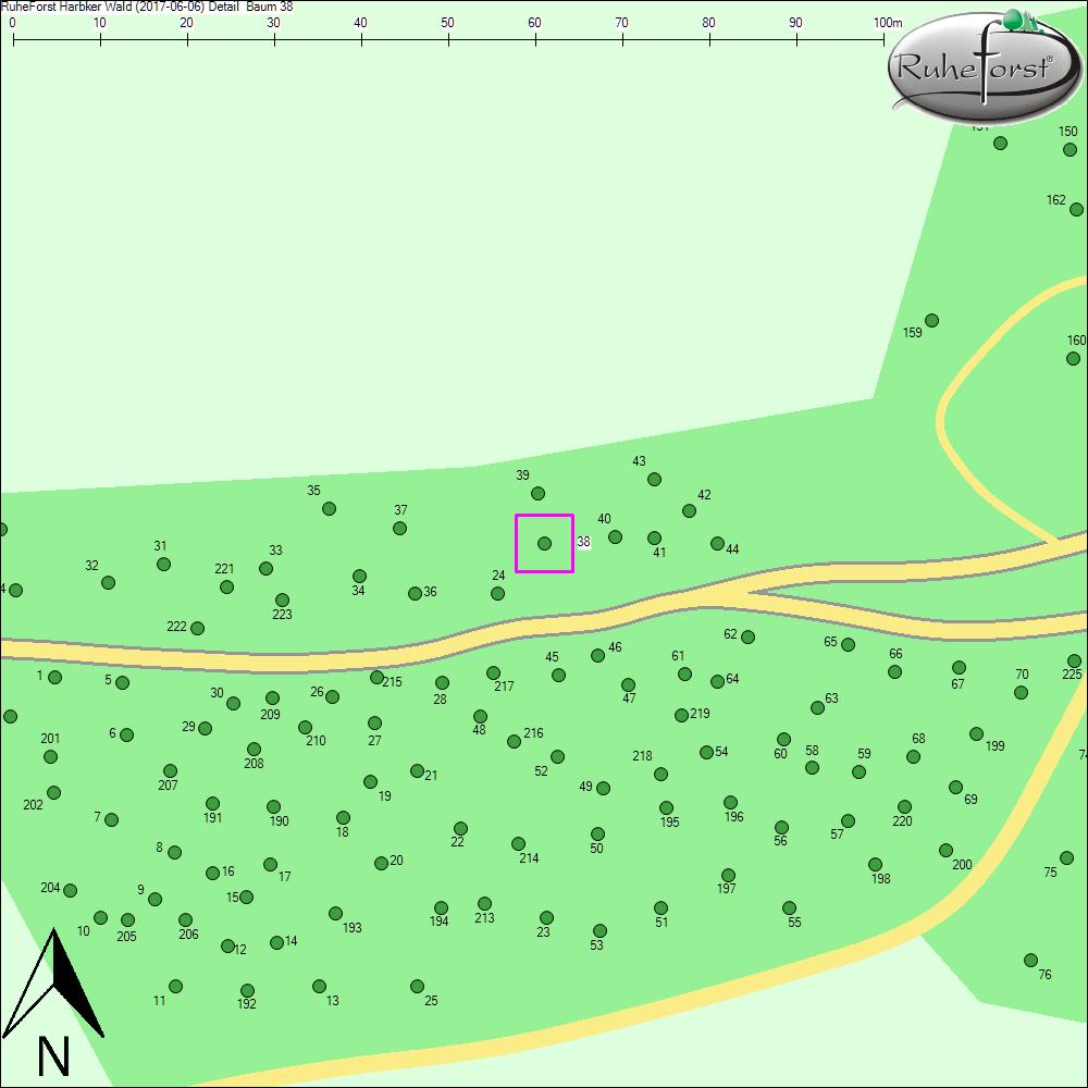 Detailkarte zu Baum 38