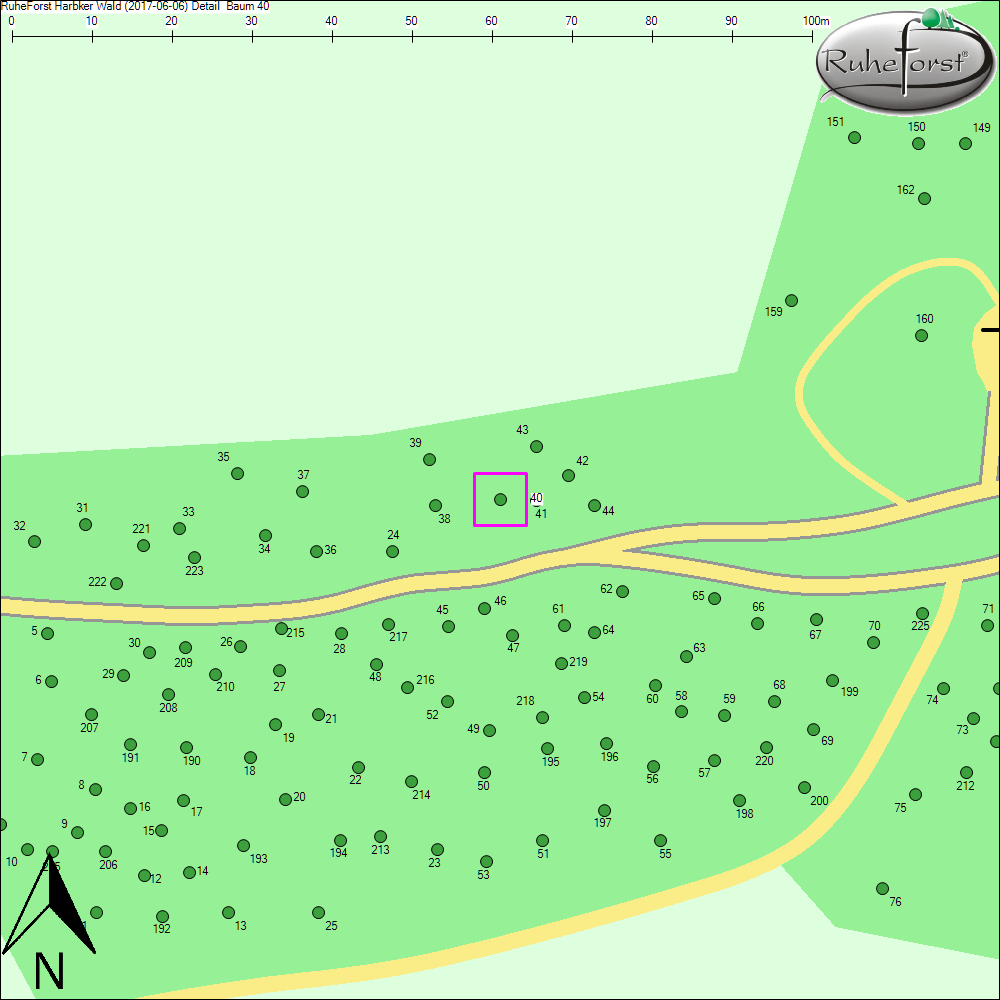Detailkarte zu Baum 40