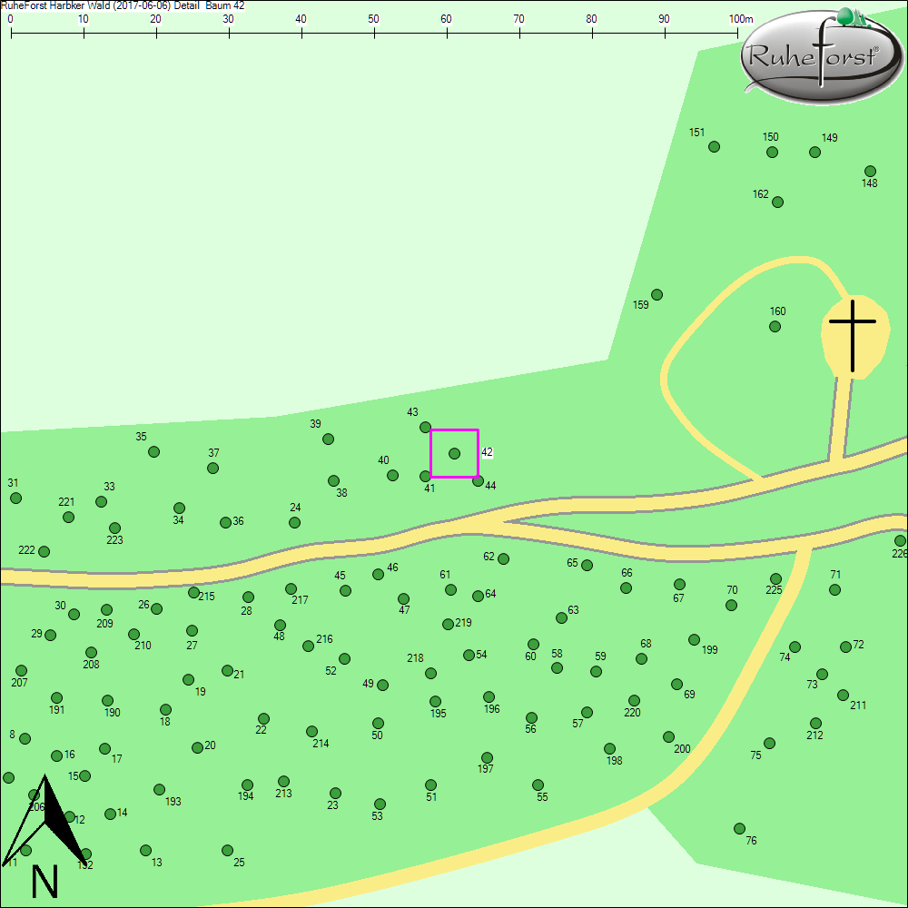 Detailkarte zu Baum 42