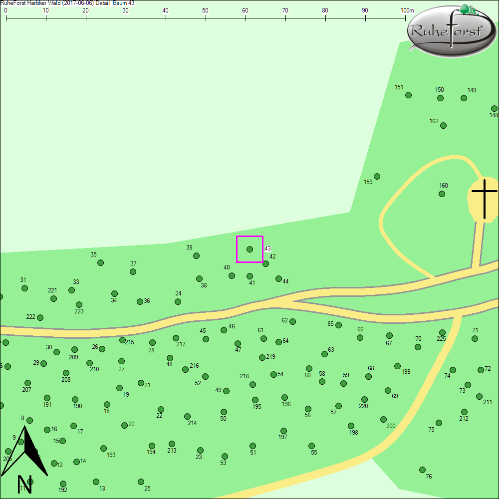 Detailkarte zu Baum 43