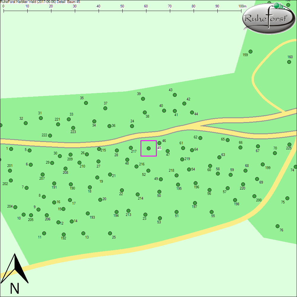 Detailkarte zu Baum 45