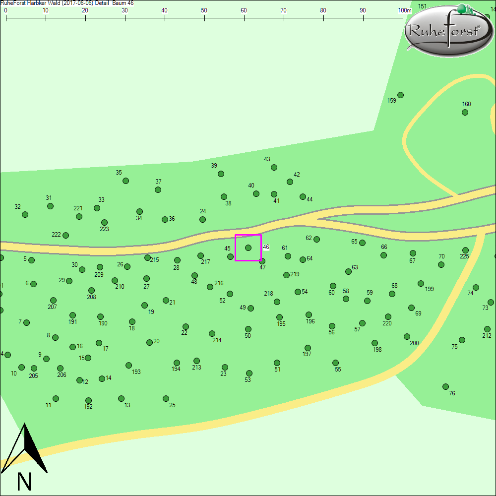 Detailkarte zu Baum 46