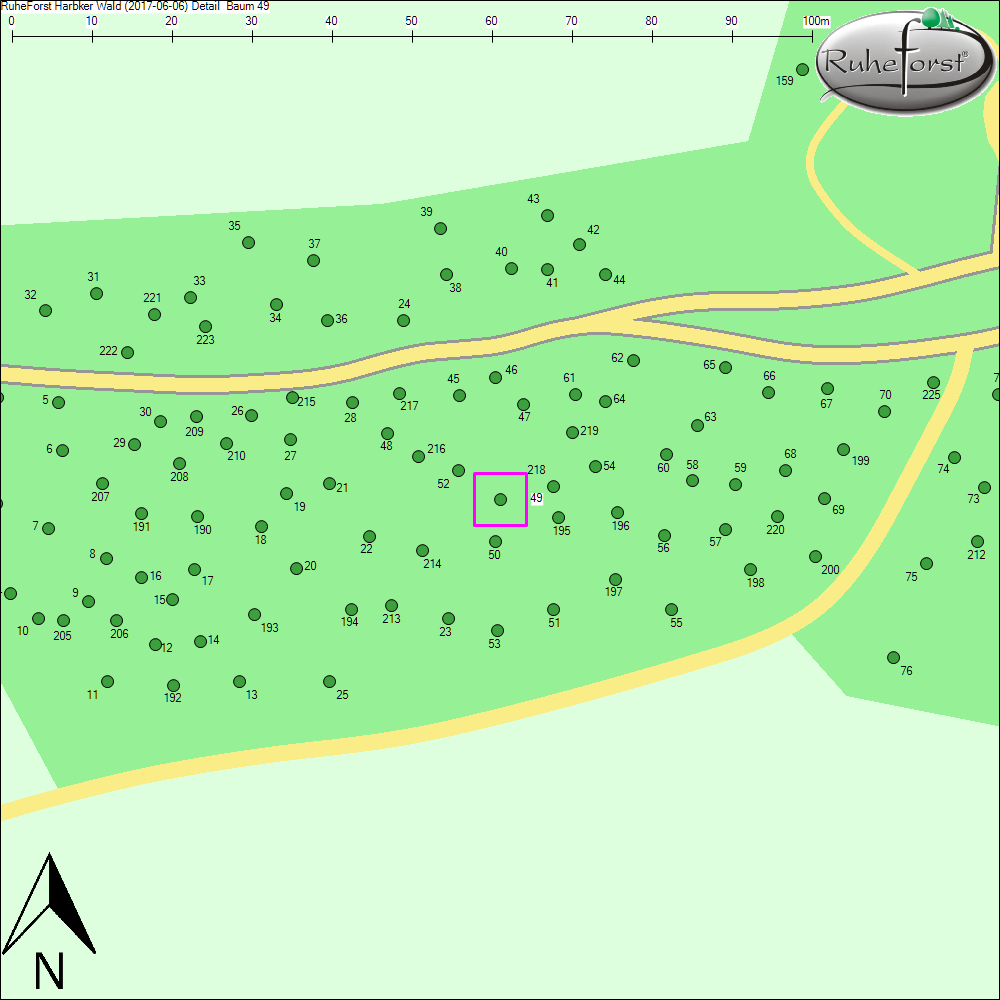 Detailkarte zu Baum 49