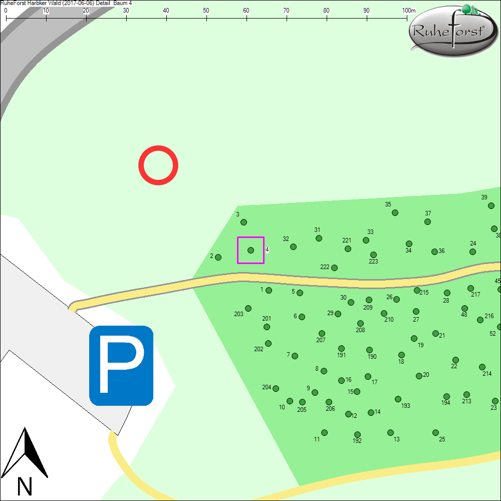 Detailkarte zu Baum 4