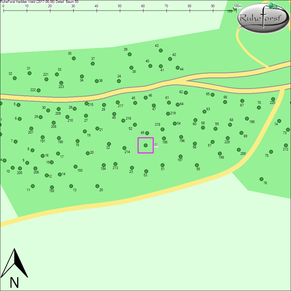 Detailkarte zu Baum 50