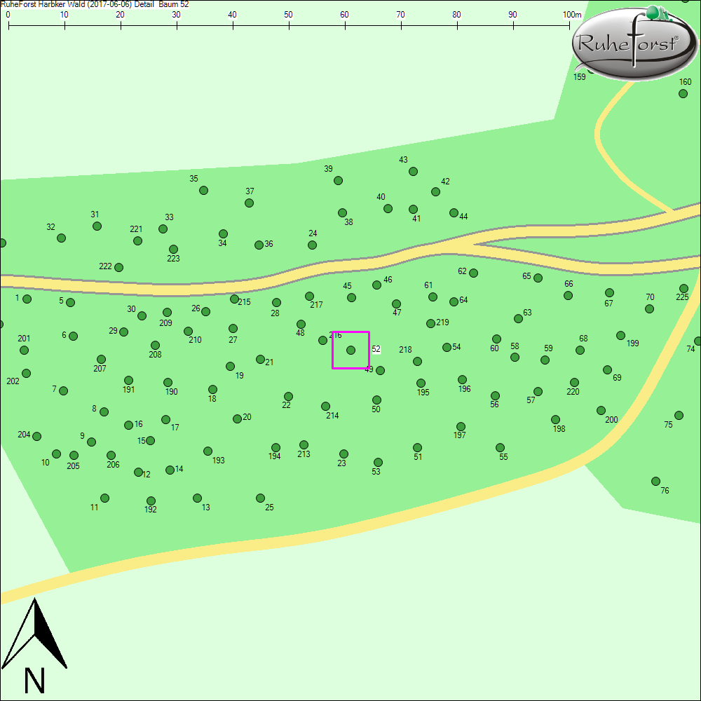 Detailkarte zu Baum 52