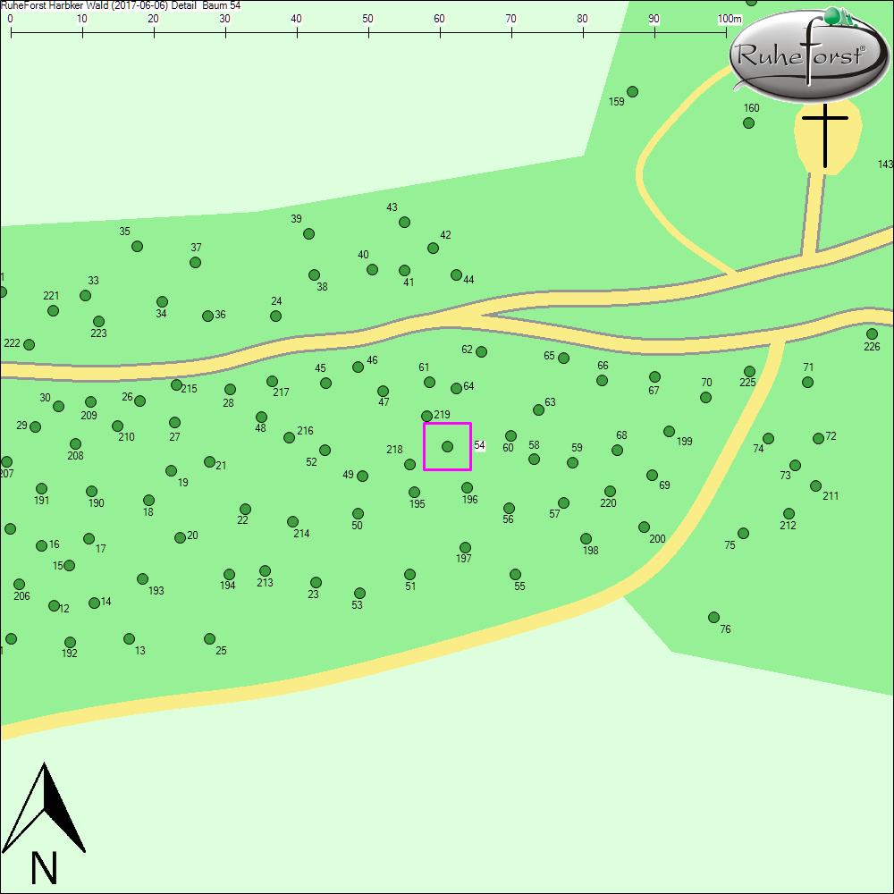 Detailkarte zu Baum 54
