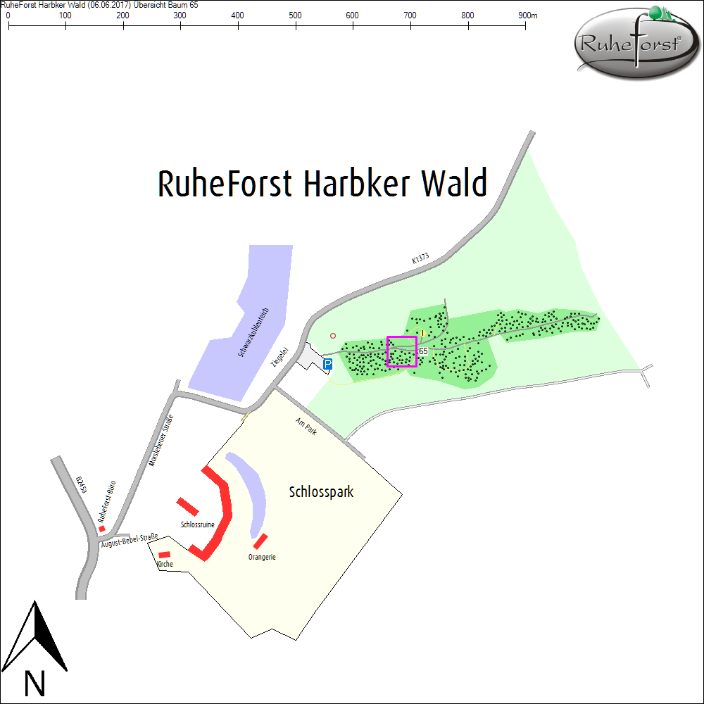 &Uuml;bersichtskarte zu Baum 65