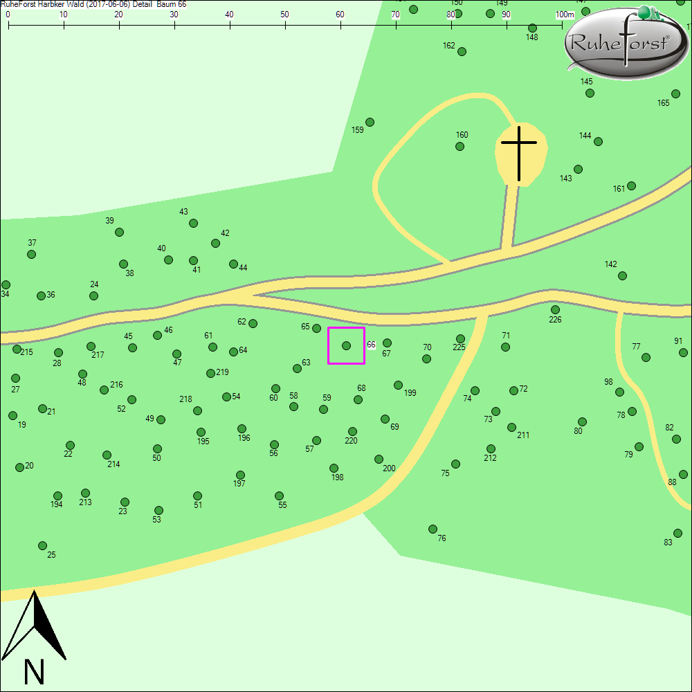 Detailkarte zu Baum 66
