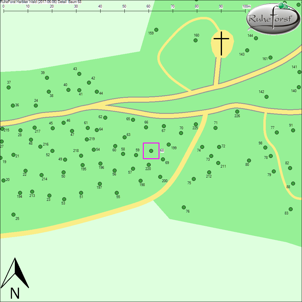 Detailkarte zu Baum 68